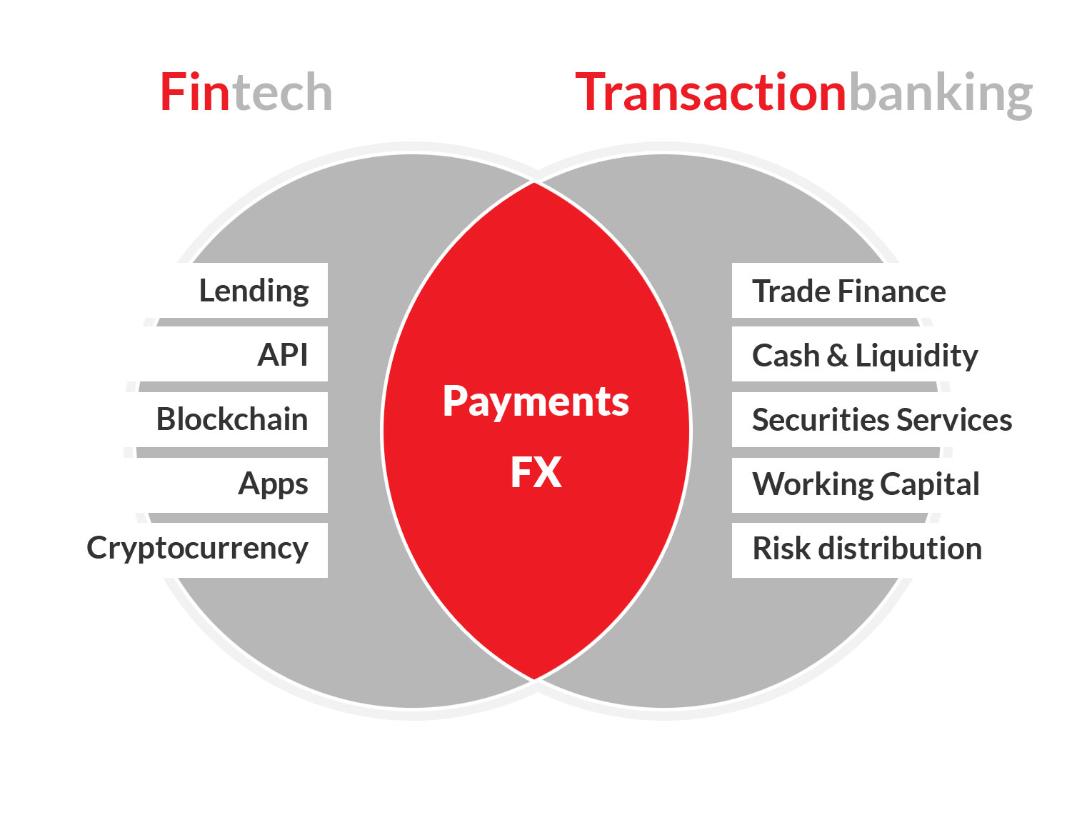 FinTech & Transaction Banking Infographic